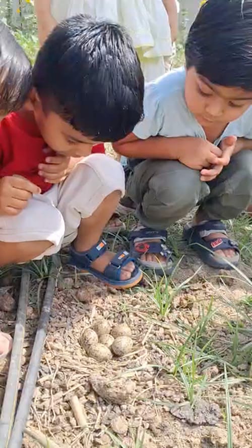 Three young children crouched together on bare earth, looking closely at a nest of speckled eggs on the ground.